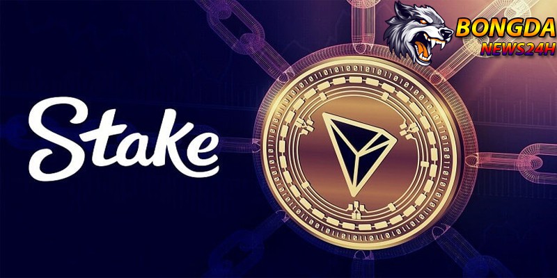 trang web cá cược uy tín stake